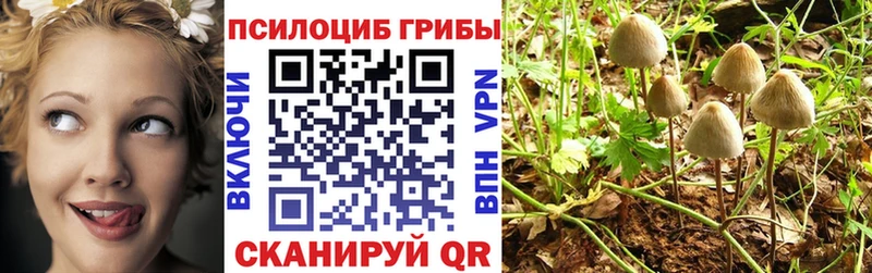 Псилоцибиновые грибы Psilocybine cubensis  магазин  наркотиков  Обнинск 